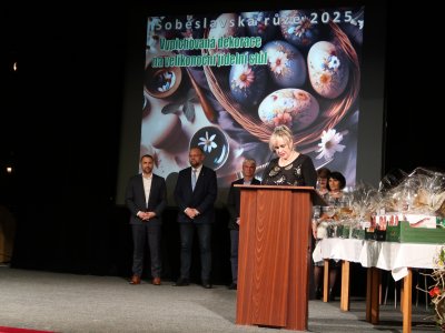 Soběslavská růže 2025