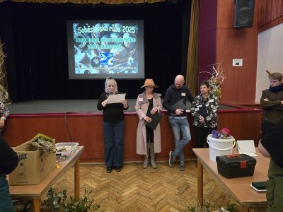 Soběslavská růže 2025