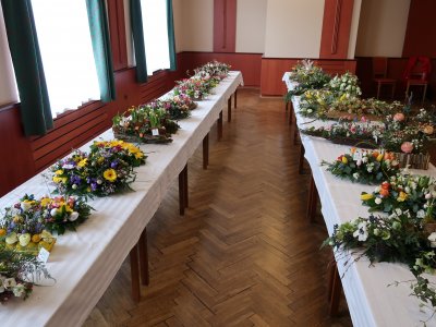 Soběslavská růže 2025