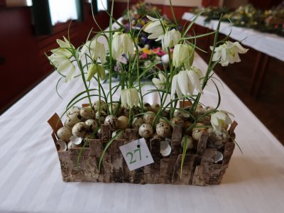 Soběslavská růže 2025