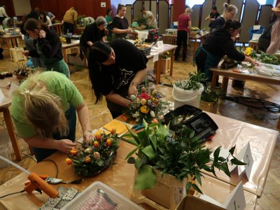 Soběslavská růže 2025