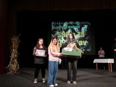 Soběslavská růže 2025